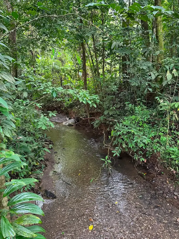 Land at Damas, Quepos, Costa Rica