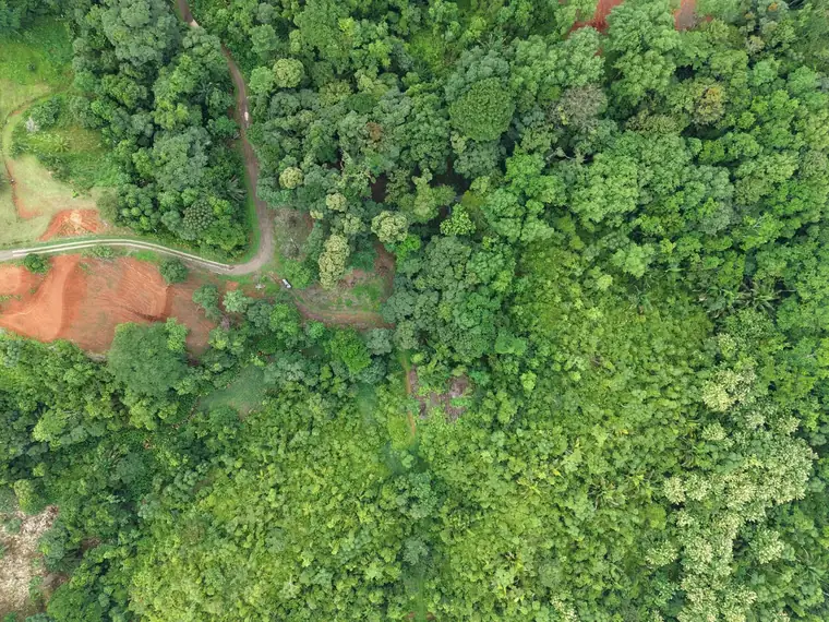 Land at Damas, Quepos, Costa Rica