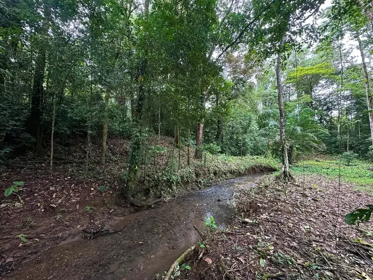 Land at Damas, Quepos, Costa Rica