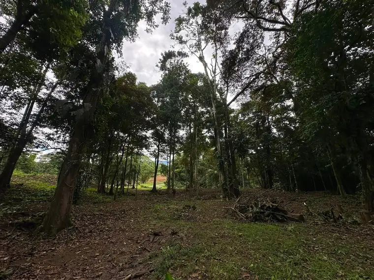 Land at Damas, Quepos, Costa Rica