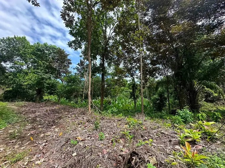 Land at Damas, Quepos, Costa Rica