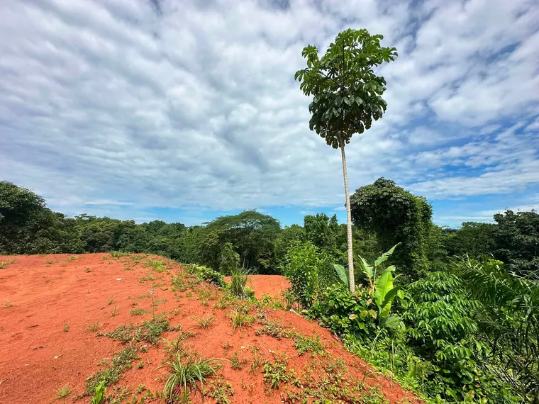 Land at Damas, Quepos, Costa Rica
