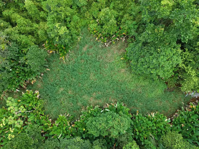 Land at Damas, Quepos, Costa Rica