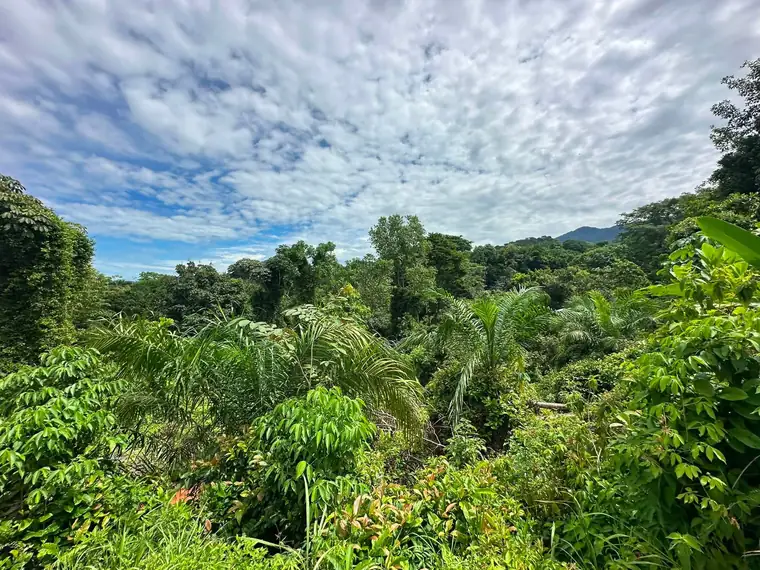 Land at Damas, Quepos, Costa Rica