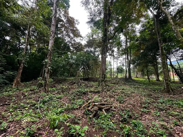 Land at Damas, Quepos, Costa Rica