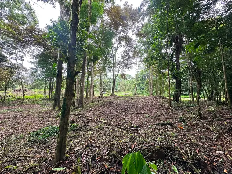Land at Damas, Quepos, Costa Rica
