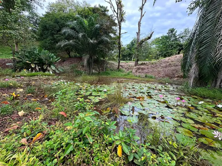 Build-ready lot at Finca La Gloriana, Quepos, Costa Rica
