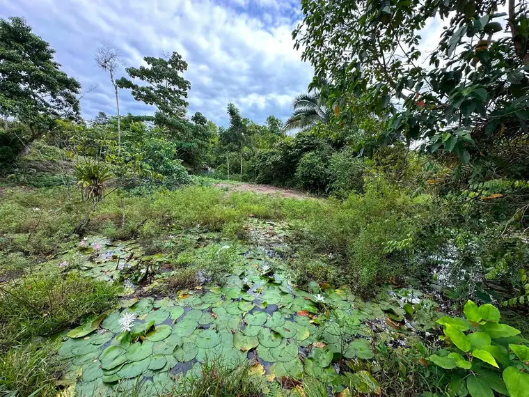 Build-ready lot at Finca La Gloriana, Quepos, Costa Rica