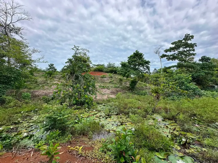 Build-ready lot at Finca La Gloriana, Quepos, Costa Rica