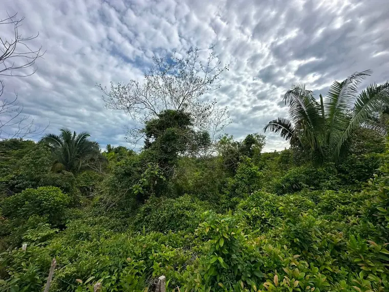 Build-ready lot at Finca La Gloriana, Quepos, Costa Rica