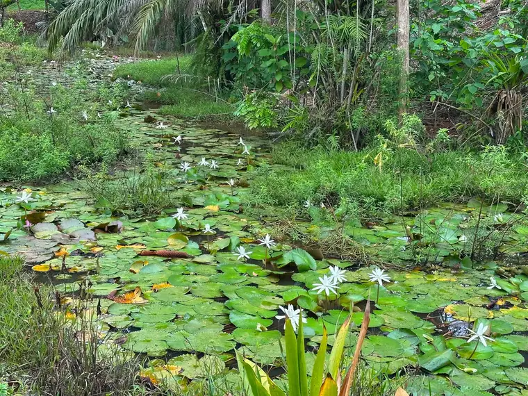 Build-ready lot at Finca La Gloriana, Quepos, Costa Rica