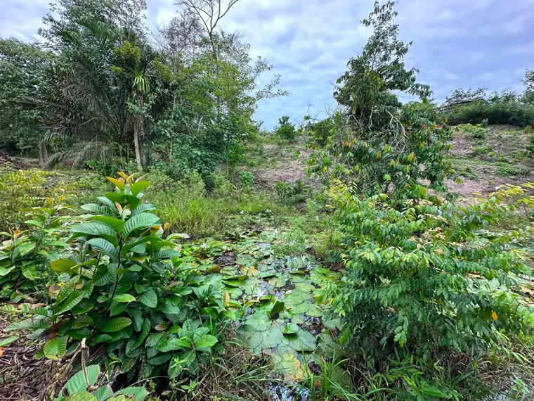 Build-ready lot at Finca La Gloriana, Quepos, Costa Rica