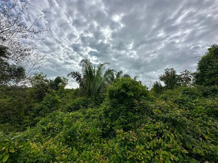 Build-ready lot at Finca La Gloriana, Quepos, Costa Rica