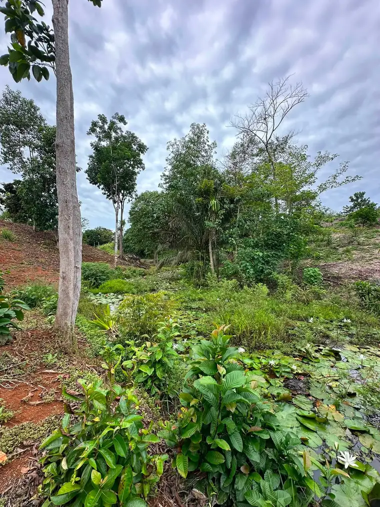 Build-ready lot at Finca La Gloriana, Quepos, Costa Rica