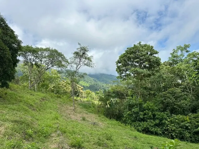 Property and cabin-style home at La Legüita, Puriscal, Costa Rica