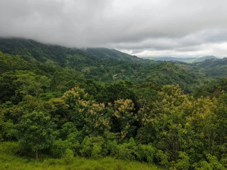 Property and cabin-style home at La Legüita, Puriscal, Costa Rica