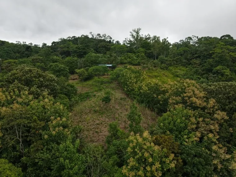 Property and cabin-style home at La Legüita, Puriscal, Costa Rica