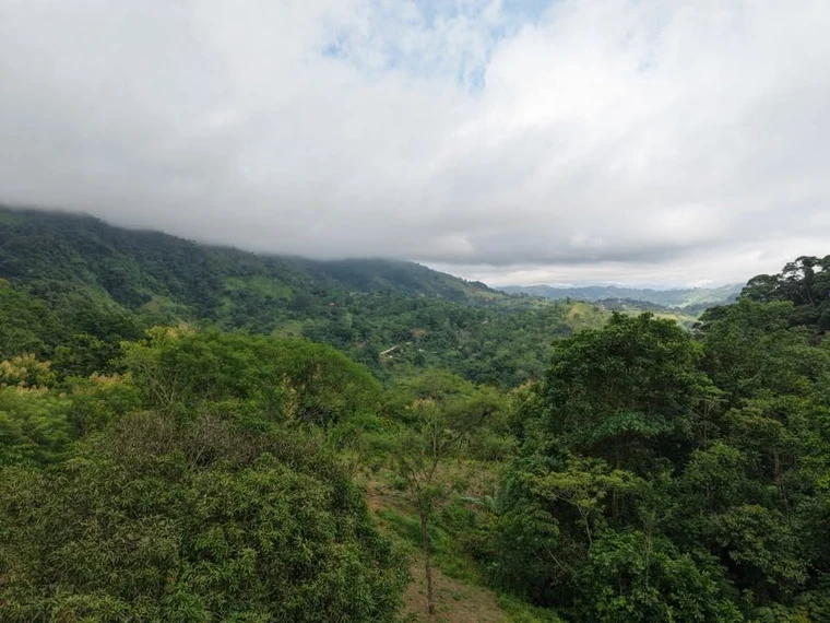 Property and cabin-style home at La Legüita, Puriscal, Costa Rica