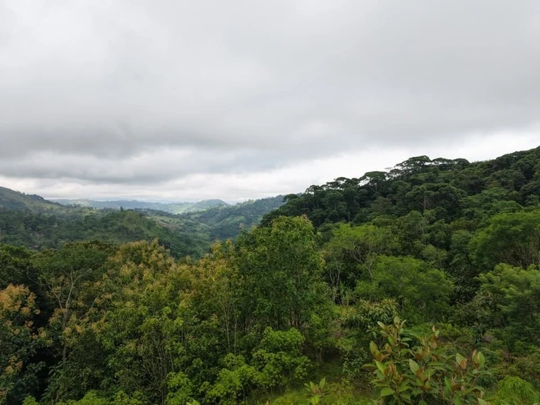Property and cabin-style home at La Legüita, Puriscal, Costa Rica