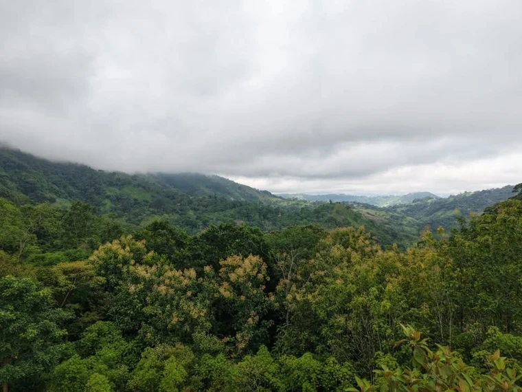 Property and cabin-style home at La Legüita, Puriscal, Costa Rica