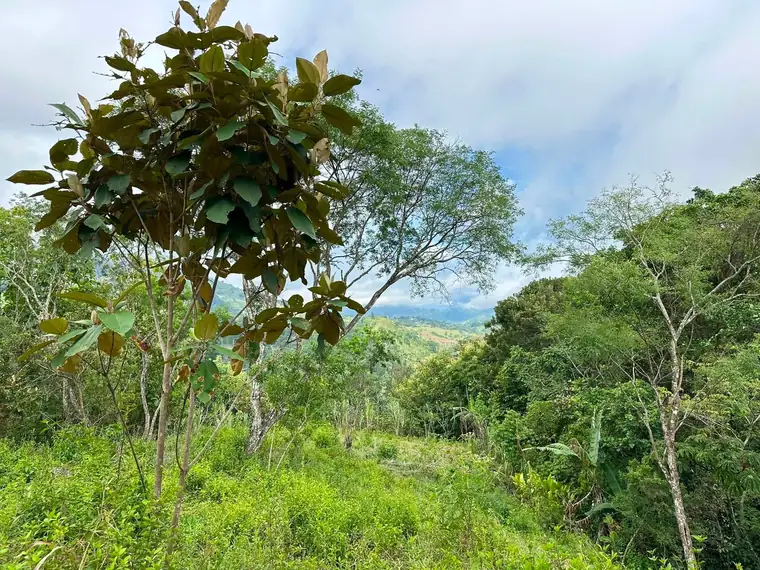 Property and cabin-style home at La Legüita, Puriscal, Costa Rica