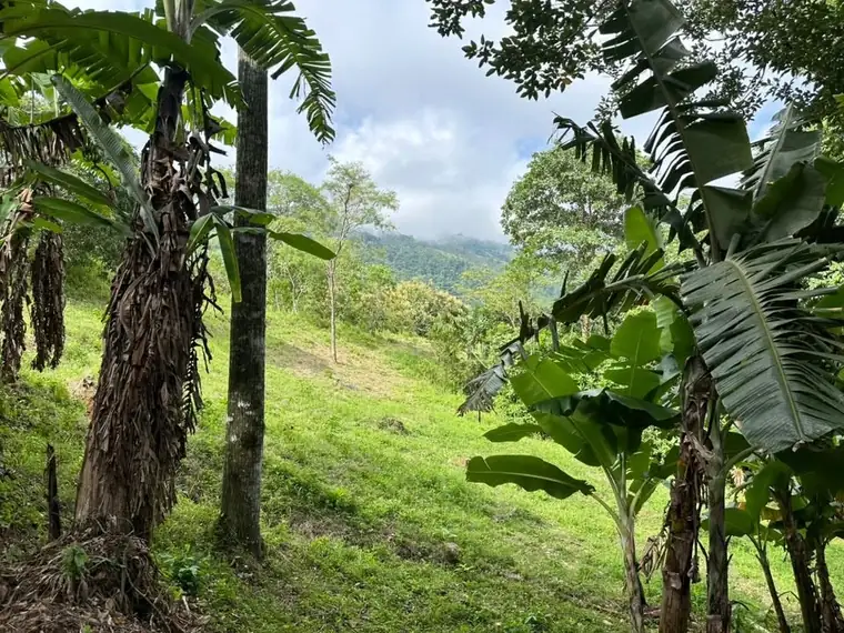 Property and cabin-style home at La Legüita, Puriscal, Costa Rica