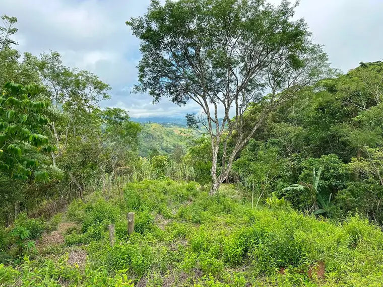 Property and cabin-style home at La Legüita, Puriscal, Costa Rica